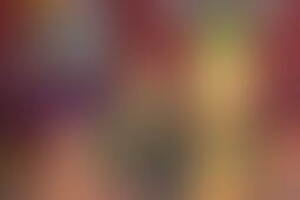 Фотография квеста-анимации Minecraft от компании Радуга желаний (Фото 1)